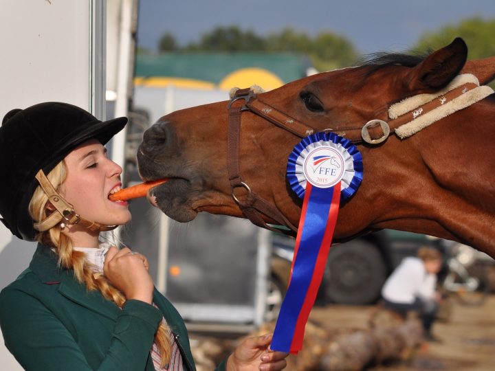 Horse rider shared after winning match